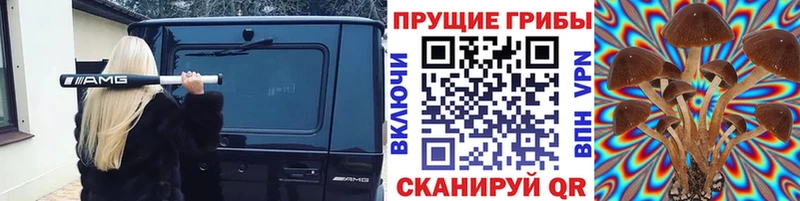 Псилоцибиновые грибы Magic Shrooms купить закладку Калязин
